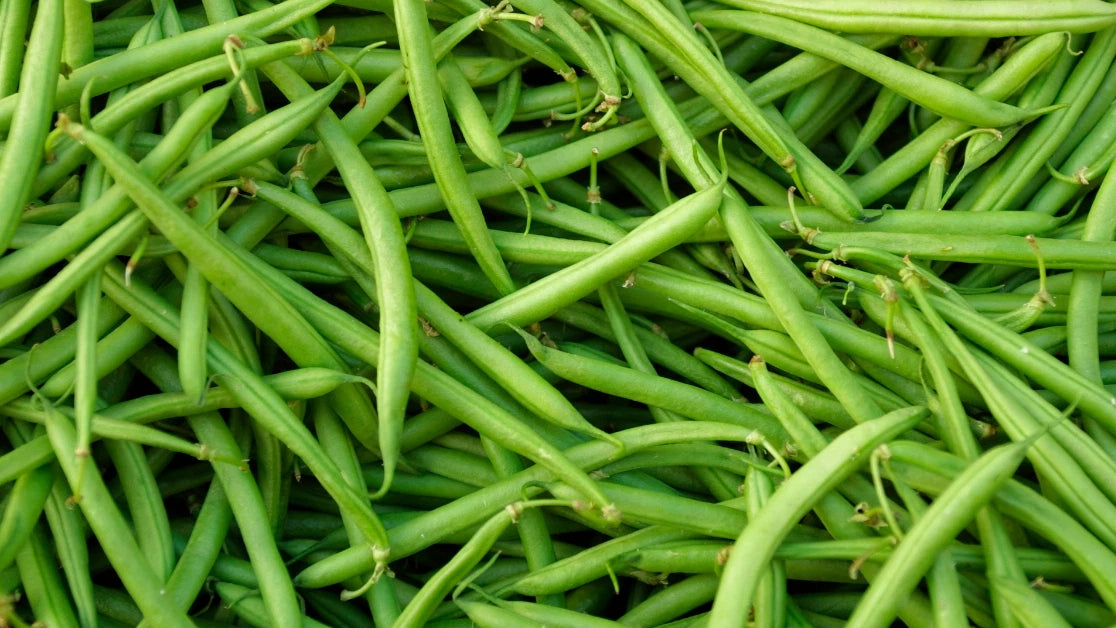 The green bean