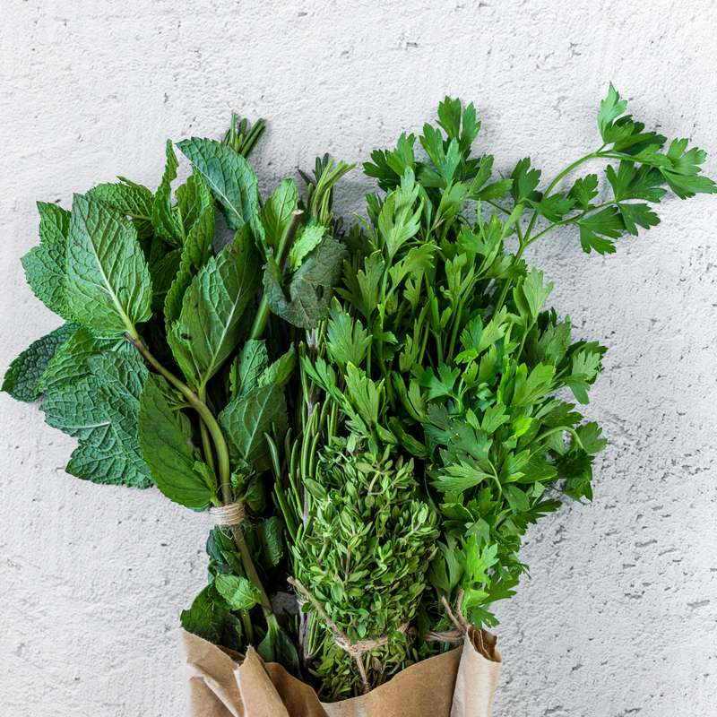 Les herbes fraîches en bouquet