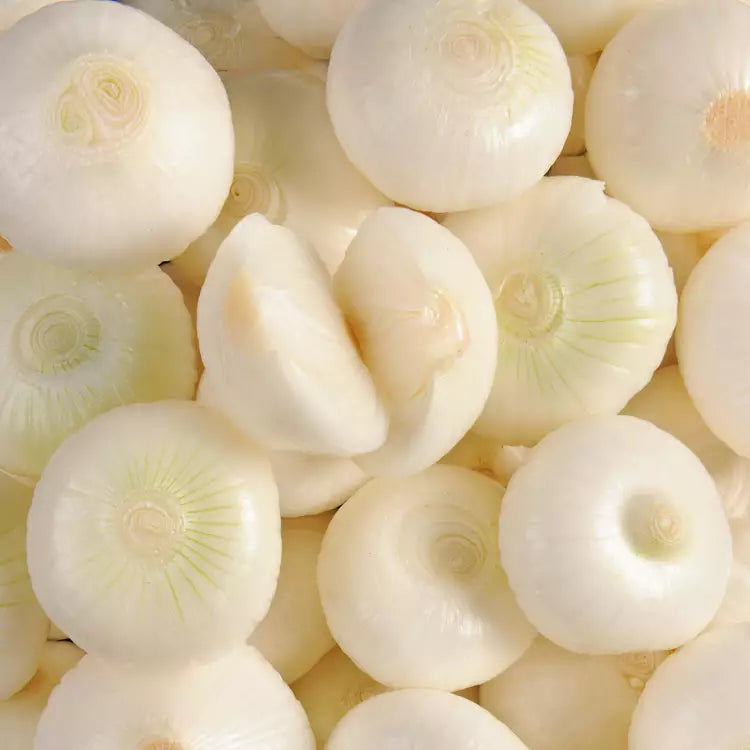 The cipolotto onion
