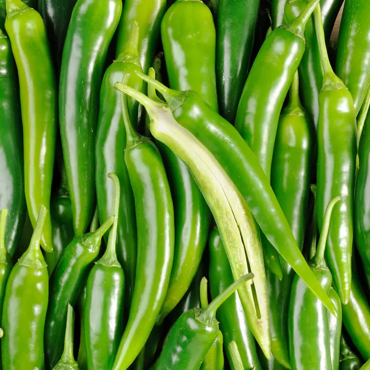 Piment vert