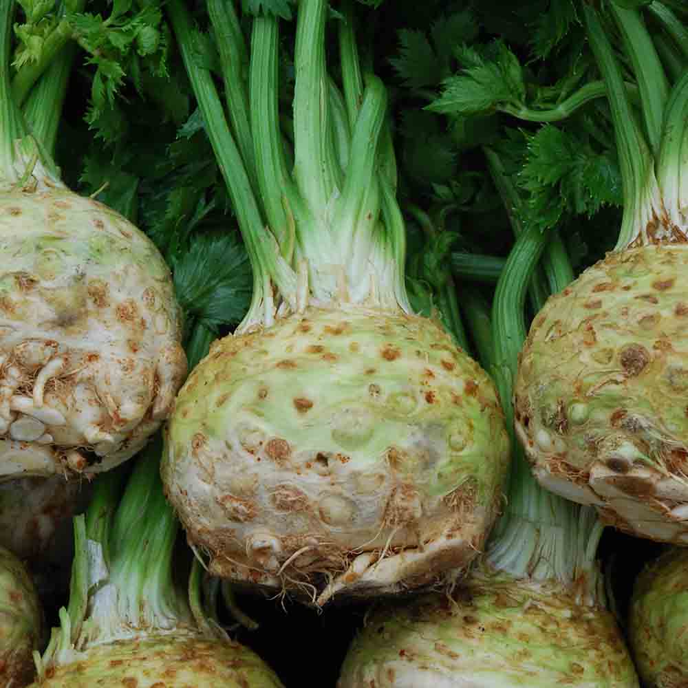 Celeriac