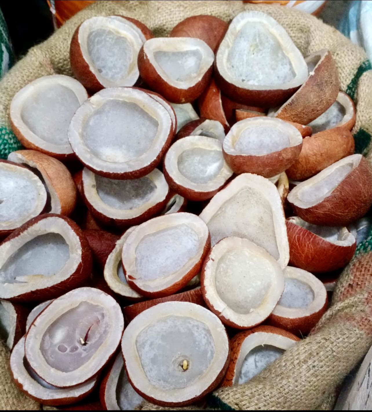 Noix de coco