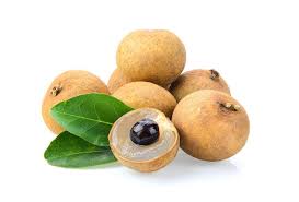 The longan