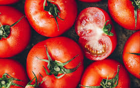tomate Divinina