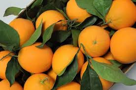 The orange with leaves