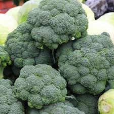 Broccoli cabbage