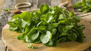 Watercress