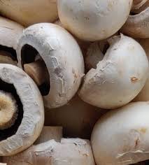 Champignon blanc de Paris
