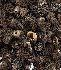 Les morilles séchées