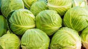 Chou vert