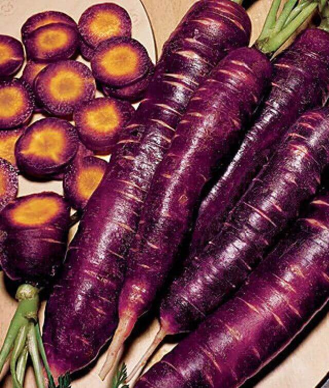 The purple carrot
