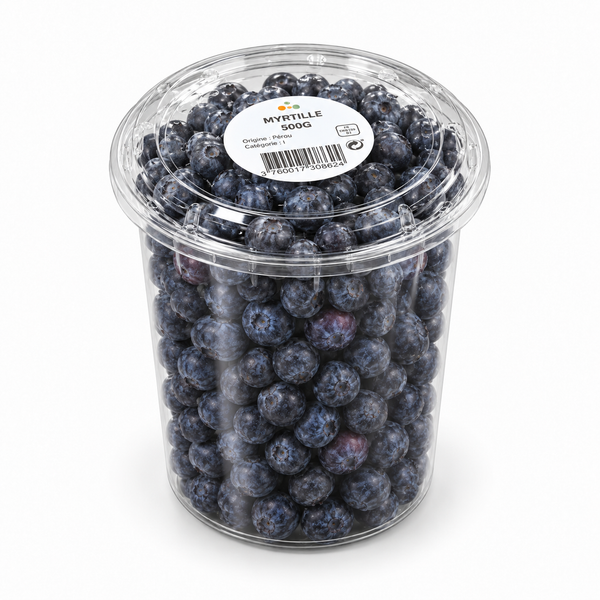Myrtilles — barquette 500 g