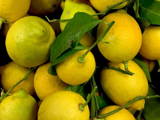 citron jaune avec feuille