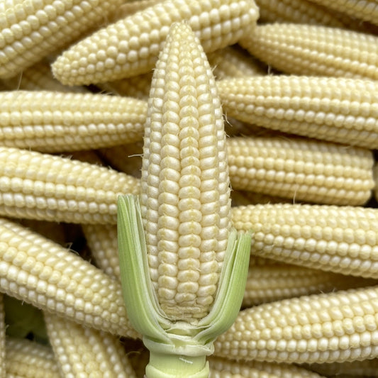 Baby corn