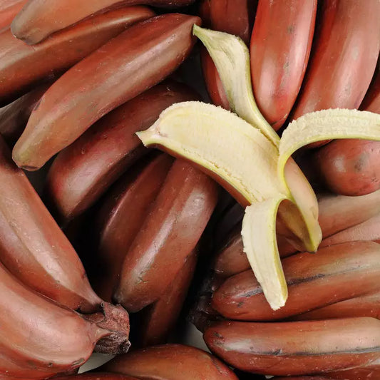 The pink banana