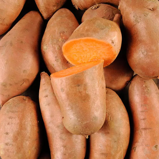 Patate douce chair orange