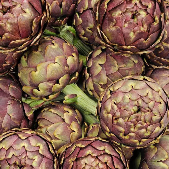 L’artichaut violet