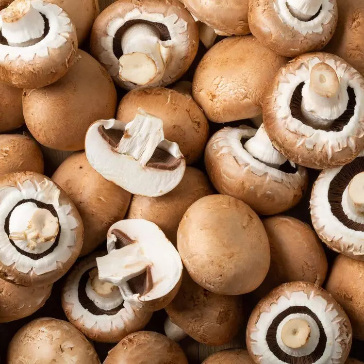 The brown mushroom