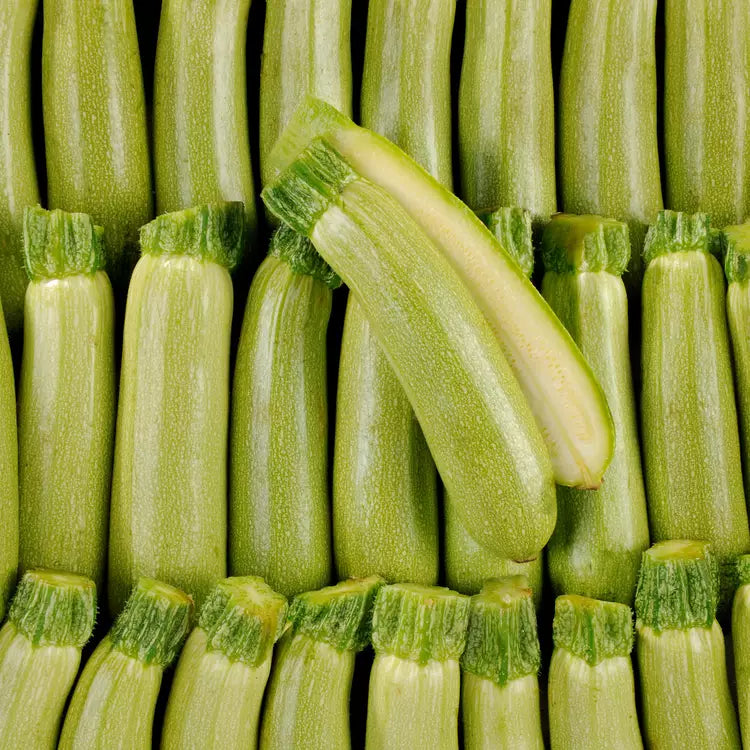 Courgette blanche