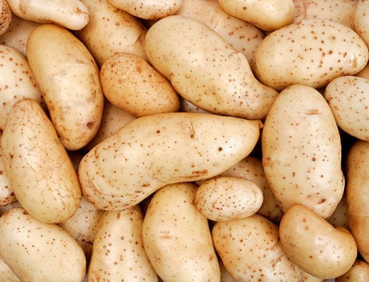 Pomme de terre amandine