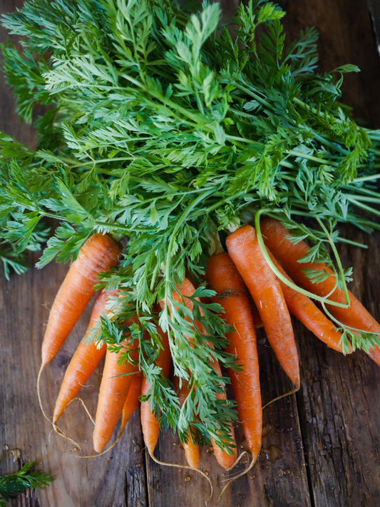 The carrot tops
