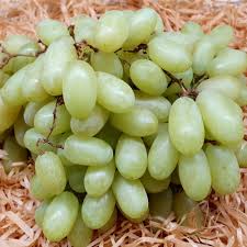 Raisin blanc sans pépins