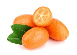 Kumquat