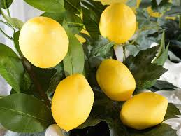 Citron jaune avec feuille