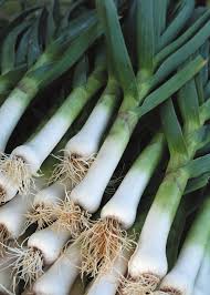 Poireau