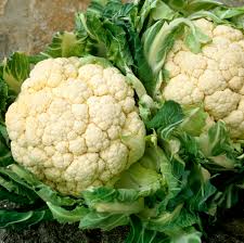 Chou-fleur