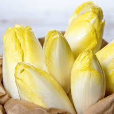 Endive