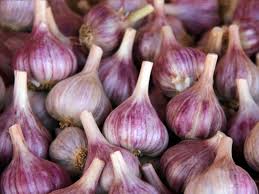 Ail violet