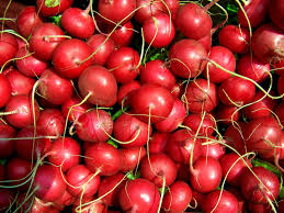 Radis rouge