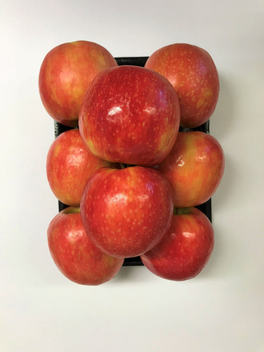 pomme Pink Lady (barquette)