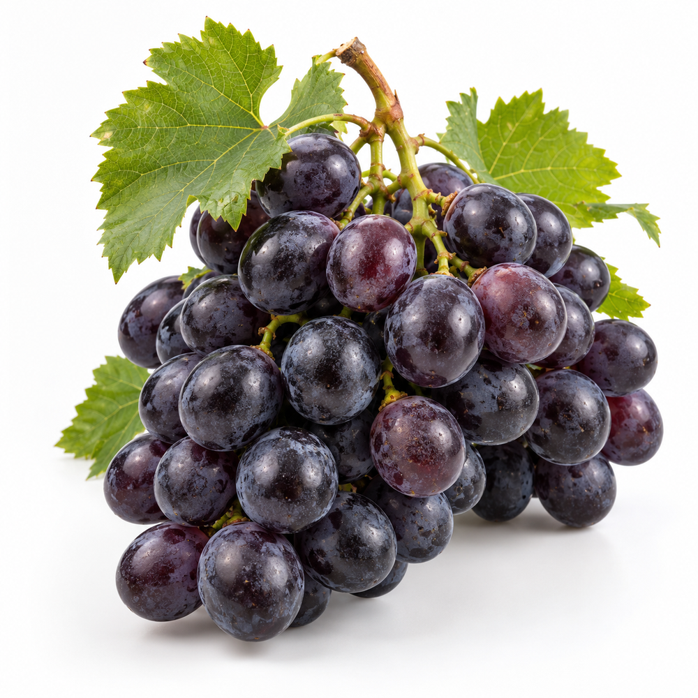 Raisin Muscat